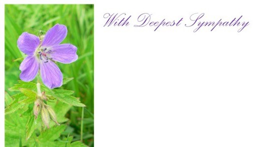 Condoleancekaart WITH DEEPEST SYMPATHY Rouwkaart