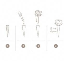 Corsagehouder Flowerdarte Doos