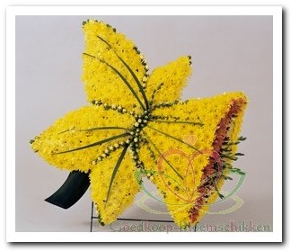 Narcis steekschuimvorm oase voor verse bloemen