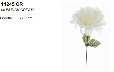 Decoflorall Dahlia Mum pick Creme / st Dahlia Mum pick