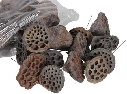 Lotus op draad+/- 5-7 cm. Naturel +/- 25stuks Lotus zak
