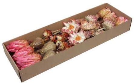 Protea Exotic Assortiment - Naturel (Doos van 30 Stuks) – Bijzondere Exotische Droogbloemen - Bijzondere Exotische Droogbloem