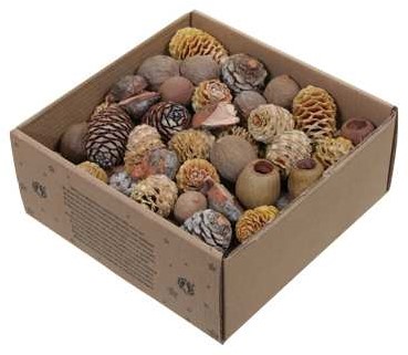 Leucodendron Assortiment - Naturel Kleuren (640 gr) – Perfect voor Groendecoratie en Bloemschikken – Perfect voor Groendecoraties en Bloemschikken
