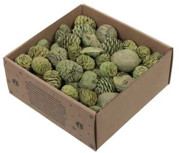 Leucodendron assortiment Groen Green wash 640 gr – Perfect voor Groendecoratie en Bloemschikken – Perfect voor Groendecoraties en Bloemschikken