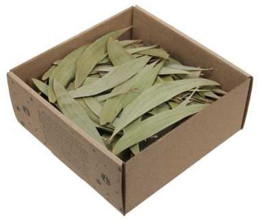 Eucalyptusbladeren Eucalyptusblaadjes doosje 100 gr – Perfect voor Groendecoraties en Bloemschikken