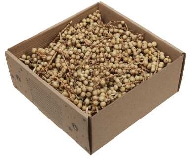 Canella 2" cut Stukjes takjes Canella +/- 5cm naturel – Lekker veel. Perfect voor Groendecoraties en Bloemschikken