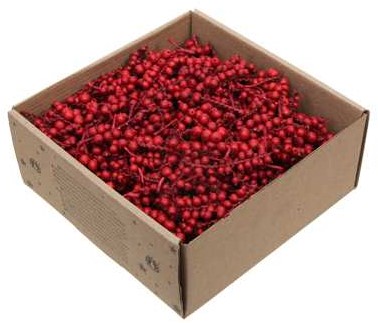 Canella 2" cut Stukjes takjes Canella +/- 5cm Rood 300gr – Lekker veel. Perfect voor Groendecoraties en Bloemschikken
