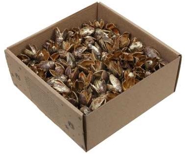 Bakuli Gold Wash 400 gr – Perfect voor Groendecoraties en Bloemschikken