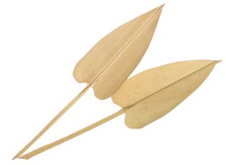  Actie Palm Arrow 25- Natural Palm blad