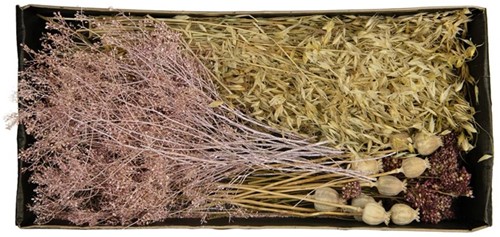 Droogbloempakket Dried flowers mix tray Pink droogbloem boeketten zelf maken