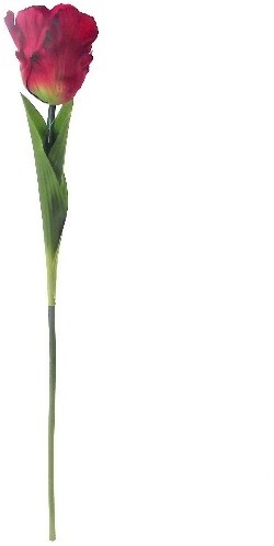 . Zijde Tulpen