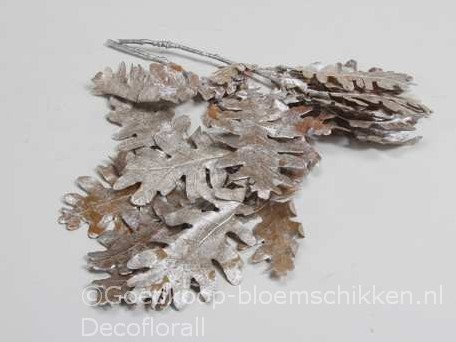 eikenblad Zilverwash 150 gr eikenblad