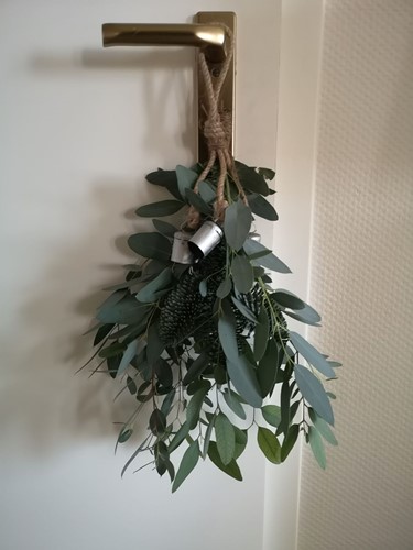 Actie: Bosje Eucalyptus DIY - Vers en Lekker Geurend (Zonder Accessoires) vers lekker geurend