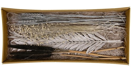 Droogbloempakket Exotic mix tray Grey-wash droogbloem boeketten zelf maken