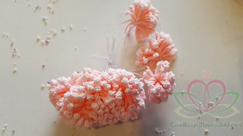 Fieldberries Meat powder Roze New Style/ bundel 12 Fieldberries