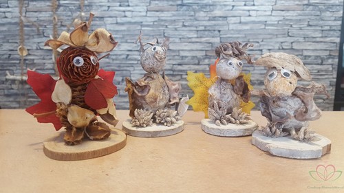 Berkenschijfjes Houtschijfjes Naturel +/- 5-7 cm +/-200gr Hout schijfjes-2