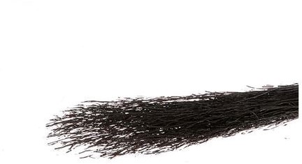 Actie Saras Grass  Zwart in hoes 100g  +/- L70 mooie zwarte takken