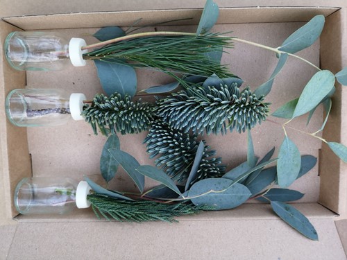 3 Flesjes bloemen Geurend wintergroen + Eucalyptus+Conifeer in een doosje Een groet die iets doet