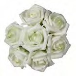 foam roos Emilia 6 cm. cremeGroen /Doos42 foam roos Emilia