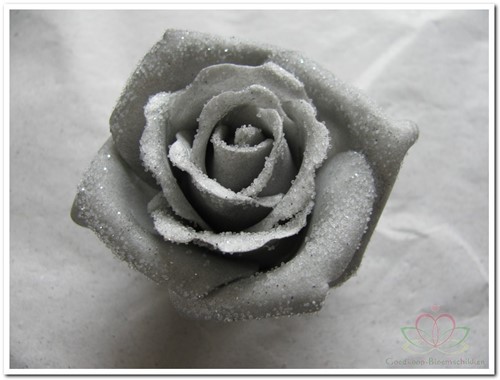 foam Rose Emilia 6cm. snow Grey Doos 42 voordeelpak