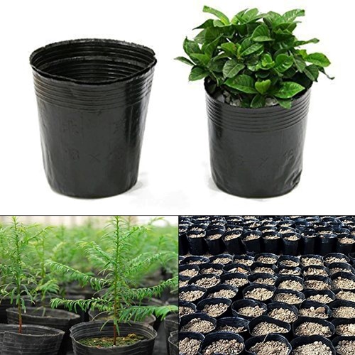 Zwarte plastic opkweekzakjes 6.5*6.5cm. Pak +/-100 flexibele potjes