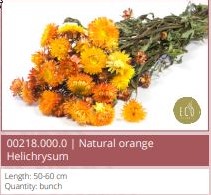 Helichrysum Oranje natural bundel / SB droogbloemen