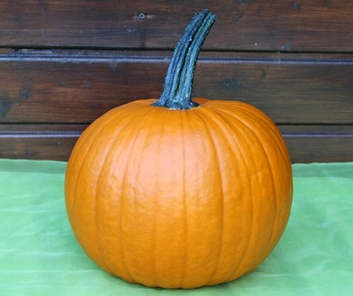 Hermes F1 PMT halloweenpompoen
