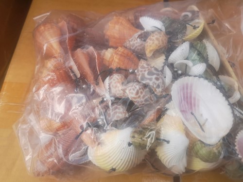 Actie Schelpenhanger WC Bamboe Kerang gemengd geboord Schelpenhanger geboorde  