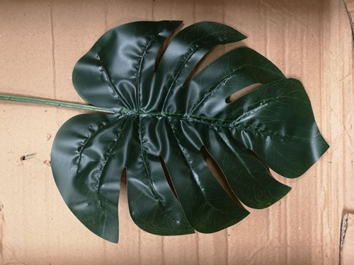 Blad van Gatenplant groot Per stuk VT Wonen Botanical SPLIT PHILO LEAF