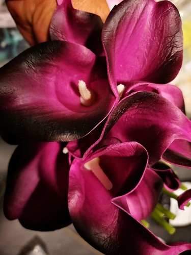 Calla Real Touch Black Purple +/-7 cm. en 37cm lang. / st Calla Real Touch +/- 7 cm.