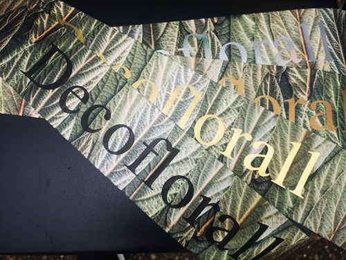 Bedrukt lint Greenleaf 70mm 80 cm Metalic Zilver opdruk Viburnum Dubbelsatijn, dubbel leaf