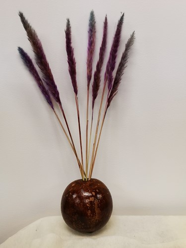 Fluffy Pampas 70gr 75-80cm Milka Pampas gras in hoes