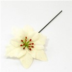 Kerstster Kerstroos WIT losse bloem Per stuk Kerstster WIT