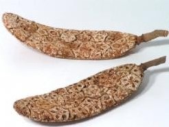 Kurk Stick / stuk Prachtig Kurk  / stuk