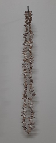 Schelpengordijn Schelpenhanger Guirlande schelpen kopparai. 1,2 mtr. naturel geboorde schelpjes