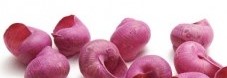 Landsnail small Fuchsia 250 gram Geverfde landslak schelpen