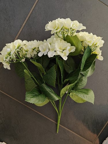 Hortensia Groot - Hydrangea Bush Wit - 54 cm - Super Flowerwall Vuller flowerwall vuller