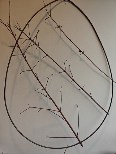  Takken naturel bv Cornus +/- 3st  voor bloemschikken en decoratie