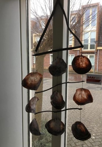 Actie Schelpenhanger Placuna geboord Lianter 30 cm Schelpenhanger geboorde placuna