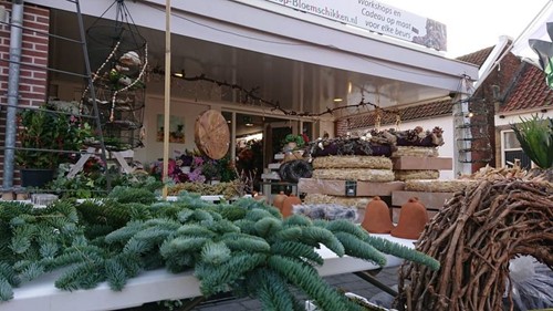 Nobilis Dennengroen TAK vers WinterGroen vers