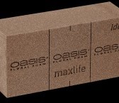 Oasis NATUREBASE BIO Floral foam Brick Oasis Ideaal 20