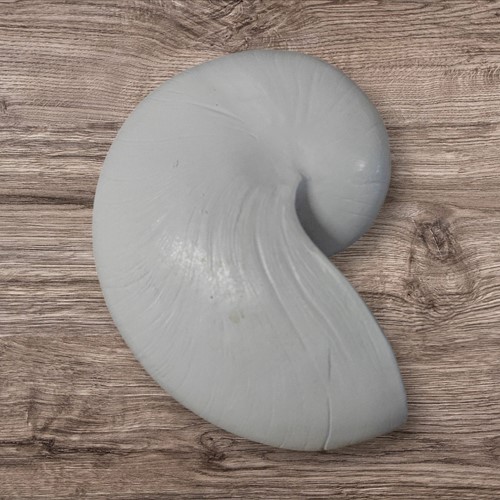 Nautilusschelp Resin 10 wit, 5x8x5 cm. per stuk
