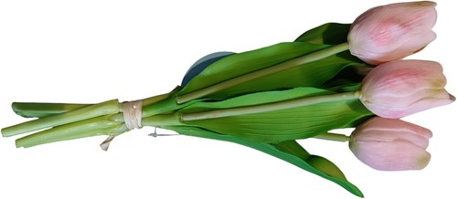 Actie Tulpen Real Touch Roze - Bundel van 5 Luxe Siliconen Latex Tulpen Luxe Siliconen Latex Real Touch Tulpen