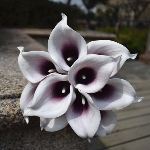 Calla Real Touch Plum Center +/- 7 cm. en 37cm lang. / st Calla Real Touch +/- 7 cm.