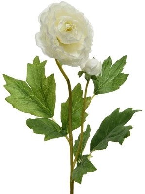Actie Ranonkel Camelia WIT L.8cm W.10cm H.57cm / stuk Ranonkel Camelia zijdebloem 