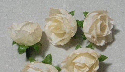 Roosjes 3 cm. zijde Champagne voor corsage of zeep +/- 20 st Roos zijdebloem