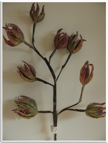Magnolia x8 70cm. Rusty +Groen  foam Bloemen