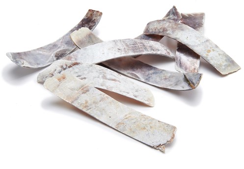 Placuna Raisorblade Shell - Stroken schelp 250 gr