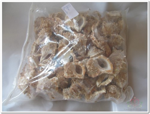 Pennchiman schelpen naturel, 1 kilo