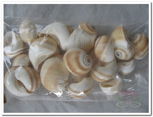 Actie Mattugan schelpen 200 gram van E 4.39 voor E 2.49